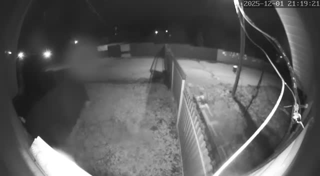 Фото с камеры