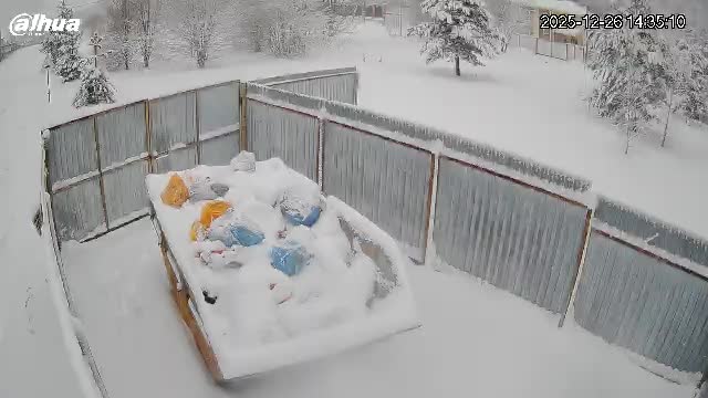 Веб-камера Мусорка в M16